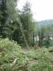 (2009.07.28) Незаконная рубка леса в 29-м кв. Веселовского лесничества Сочинского нацпарка при строительстве совмещенной дороги