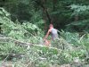 (2009.07.28) Незаконная рубка леса в 29-м кв. Веселовского лесничества Сочинского нацпарка при строительстве совмещенной дороги