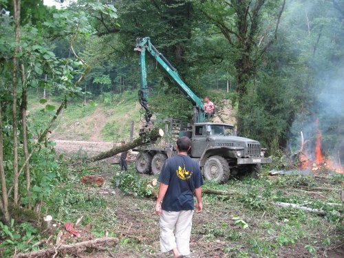 (2009.07.28) Незаконная рубка леса в 29-м кв. Веселовского лесничества Сочинского нацпарка при строительстве совмещенной дороги