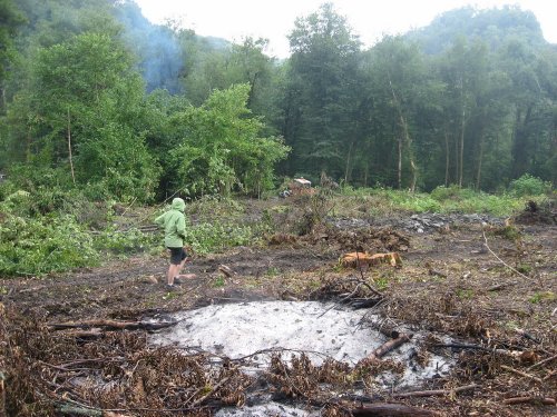 (2009.07.28) Незаконная рубка леса в 29-м кв. Веселовского лесничества Сочинского нацпарка при строительстве совмещенной дороги