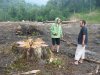 (2009.07.28) Незаконная рубка леса в 29-м кв. Веселовского лесничества Сочинского нацпарка при строительстве совмещенной дороги
