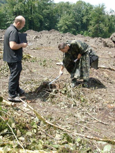 (2009.08.7,8,11) ОБЭП УВД г.Сочи останавливает незаконные рубки лапины при строительстве совмещенной дороги Адлер-Красная Поляна