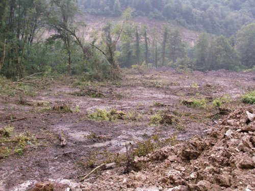 (2009.08.7,8,11) ОБЭП УВД г.Сочи останавливает незаконные рубки лапины при строительстве совмещенной дороги Адлер-Красная Поляна