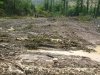 (2009.08.7,8,11) ОБЭП УВД г.Сочи останавливает незаконные рубки лапины при строительстве совмещенной дороги Адлер-Красная Поляна