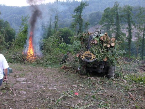 (2009.08.7,8,11) ОБЭП УВД г.Сочи останавливает незаконные рубки лапины при строительстве совмещенной дороги Адлер-Красная Поляна