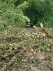 (2009.08.7,8,11) ОБЭП УВД г.Сочи останавливает незаконные рубки лапины при строительстве совмещенной дороги Адлер-Красная Поляна