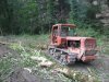 (2009.08.16) Незаконная вырубка леса на правом берегу Мзымты ниже с.Монастырь при строительстве совмещенной дороги