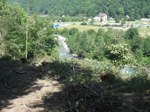 (2009.08.16) Незаконная вырубка леса между комплексами "Карусель" и "Альпика-Сервис" при строительстве совмещенной дороги