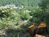 (2009.08.16) Незаконная вырубка леса между комплексами "Карусель" и "Альпика-Сервис" при строительстве совмещенной дороги