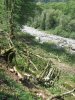 (2009.08.16) Строительство и вырубки леса в районе южного портала тоннеля №5 совмещенной дороги Адлер-Красная Поляна