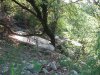 (2009.08.17) Строительство совмещенной дороги Адлер-Красная Поляна нарушает гражданские права семьи Галстян