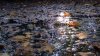 Водоток в балке Колбаса