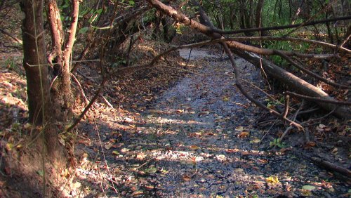 Водоток в балке Колбаса