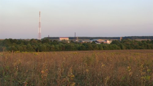 Винзавод "прячется" в пойменном лесу