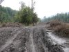 Общественная инспекция строительства совмещенной дороги Адлер-Красная поляна