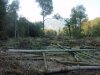 Место незаконной порубки в 3, 19 и 27 кварталах спустя 2 недели