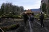 Представители общественных организаций с экспертом ЮНЕП Эрве Летье осматривают маста рубок самшита с правого берега Мзымты