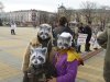 (2010.02.07) Акция в защиту Утриша в Майкопе