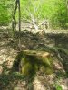 Выезд на места незаконных вырубок леса в районе хутора Кубанский