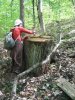 Выезд на места незаконных вырубок леса в районе хутора Кубанский