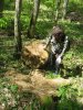 В результате незаконных рубок уничтожаются самые элитные деревья дуба
