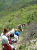 (2010.05.01-11) Маевка Экологической Вахты на Утрише