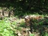 (2010.05.13) Общественная инспекция урочища Темная Щель
