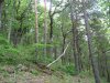 (2010.05.13) Общественная инспекция урочища Темная Щель