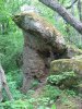 (2010.05.13) Общественная инспекция урочища Темная Щель