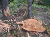 (2010.05.23) Общественная инспекция района строительства дороги Гузерипль-Лагонаки