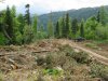 (2010.05.23) Общественная инспекция района строительства дороги Гузерипль-Лагонаки