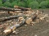 (2010.05.23) Общественная инспекция района строительства дороги Гузерипль-Лагонаки