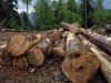 (2010.05.23) Общественная инспекция района строительства дороги Гузерипль-Лагонаки