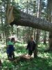 (2010.05.25) Операция по поимке браконьеров на горе Буква