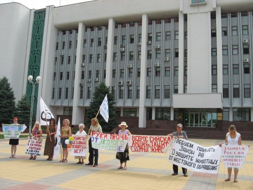 (2010.06.04) Пикет в защиту животных в Майкопе