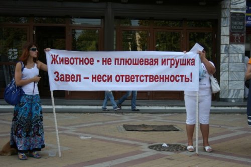 (2010.09.18) Пикет в Краснодаре в защиту животных