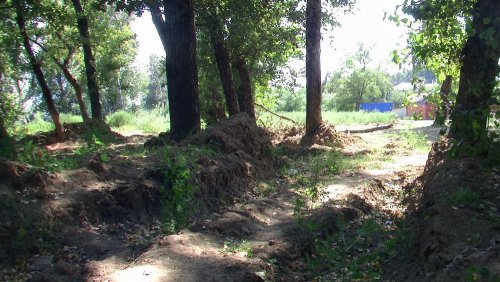 (2010.08.11) Вырубка пойменного леса и застройка берега Кубани в поселке Перекатный