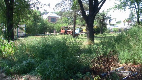 (2010.08.11) Вырубка пойменного леса и застройка берега Кубани в поселке Перекатный