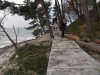 (2010.12.10) РЖД уничтожает рощу сосны пицундской на мысе Видный