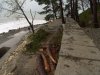 (2010.12.15) Блокада строительства железной дороги на мысе Видный