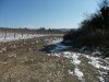(2011.02.16) Активисты ЭкоВахты нашли возле села Дивноморское виноградники Владимира Путина
