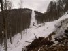 (2011.02.23) ЭкоВахта посетила район строительства олимпийской резиденции Путина и Медведева