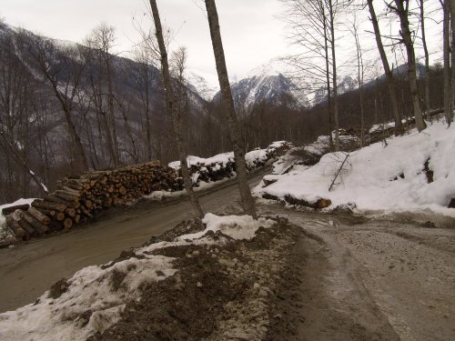 (2011.02.23) ЭкоВахта посетила район строительства олимпийской резиденции Путина и Медведева