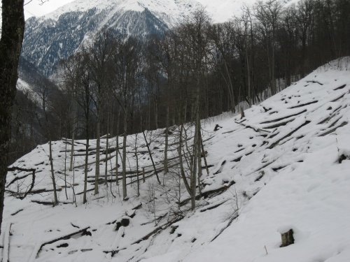 (2011.02.23) ЭкоВахта посетила район строительства олимпийской резиденции Путина и Медведева