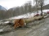 (2011.02.23) ЭкоВахта посетила район строительства олимпийской резиденции Путина и Медведева