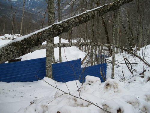 (2011.02.23) ЭкоВахта посетила район строительства олимпийской резиденции Путина и Медведева