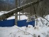 (2011.02.23) ЭкоВахта посетила район строительства олимпийской резиденции Путина и Медведева