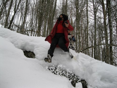 (2011.02.23) ЭкоВахта посетила район строительства олимпийской резиденции Путина и Медведева