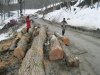 (2011.02.23) ЭкоВахта посетила район строительства олимпийской резиденции Путина и Медведева