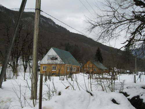 (2011.02.23) ЭкоВахта посетила район строительства олимпийской резиденции Путина и Медведева